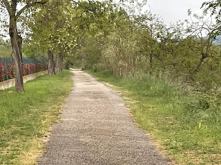 Esibizionista molesta le donne lungo le piste ciclopedonali di Grottammare, Monsampolo e Pagliare